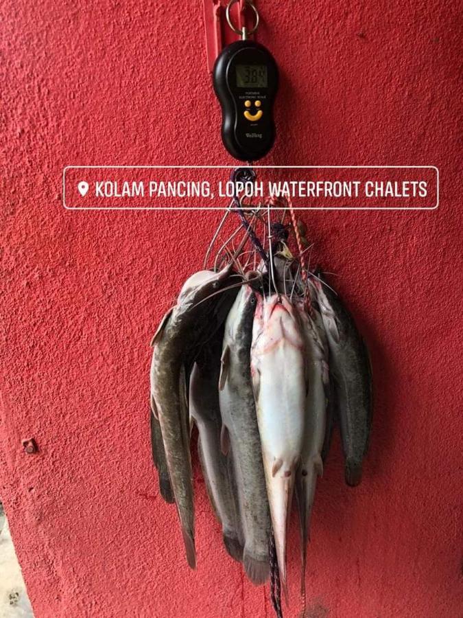 훌루 랑갓 Lopoh Waterfront Budget Chalets 빌라 외부 사진