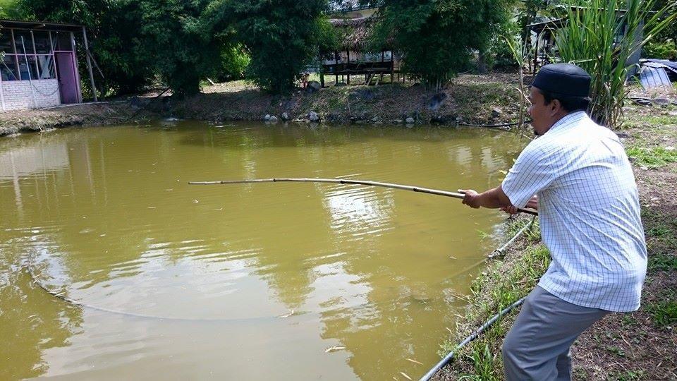 훌루 랑갓 Lopoh Waterfront Budget Chalets 빌라 외부 사진